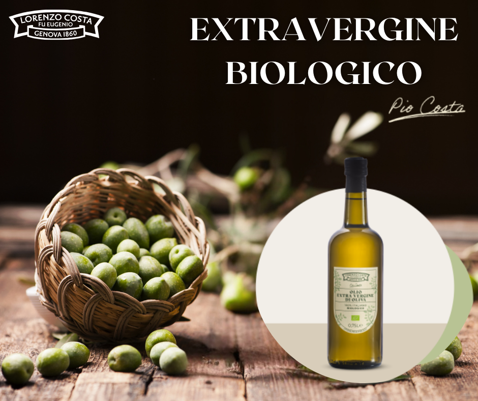 Olio Extravergine Biologico: Il Tesoro del Terroir Siciliano